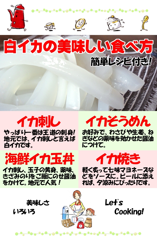 白いか(ケンサキイカ)の美味しい食べ方　簡単レシピ付き