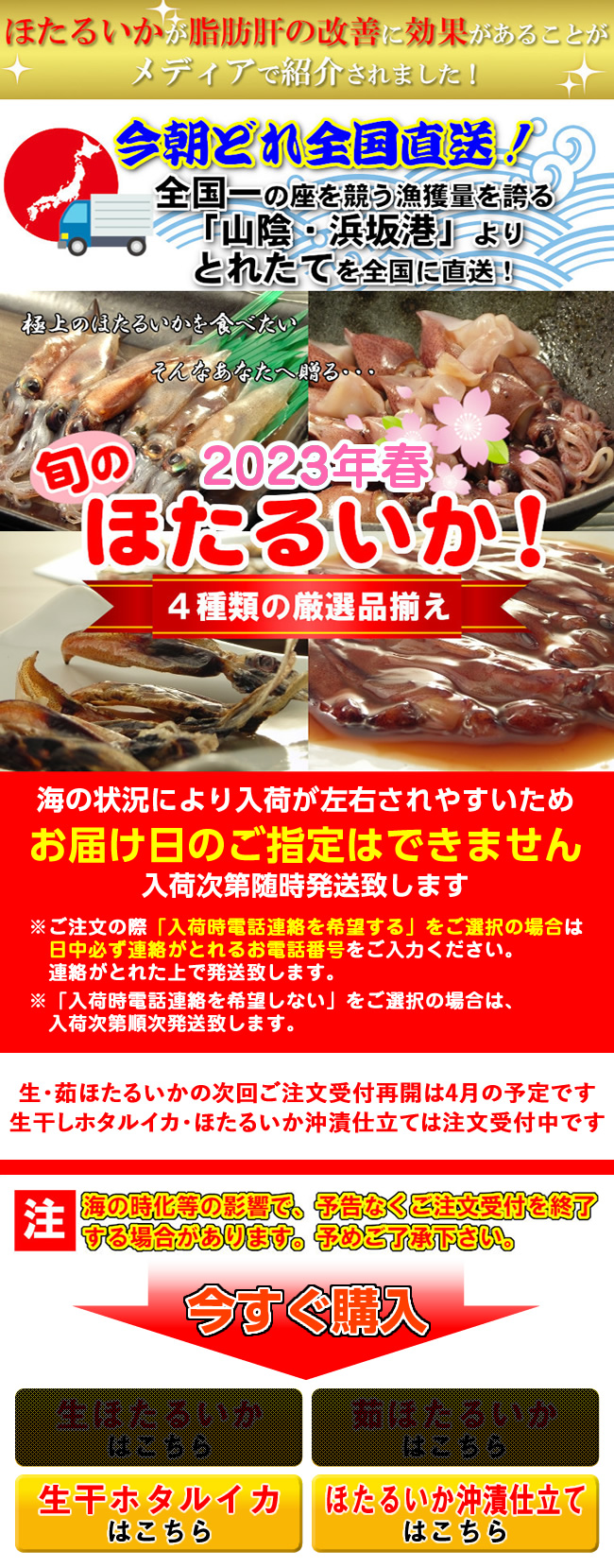 旬のほたるいか三昧!