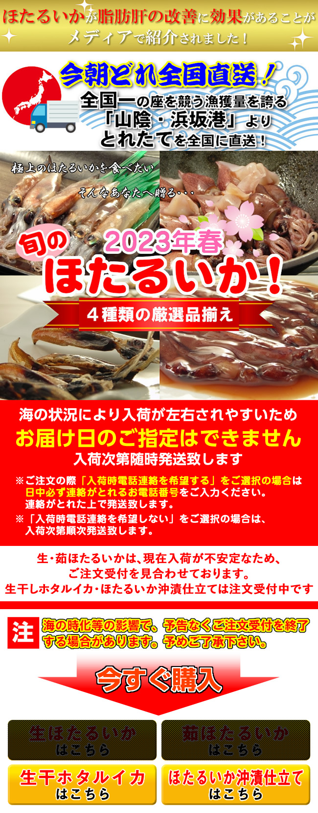 旬のほたるいか三昧!