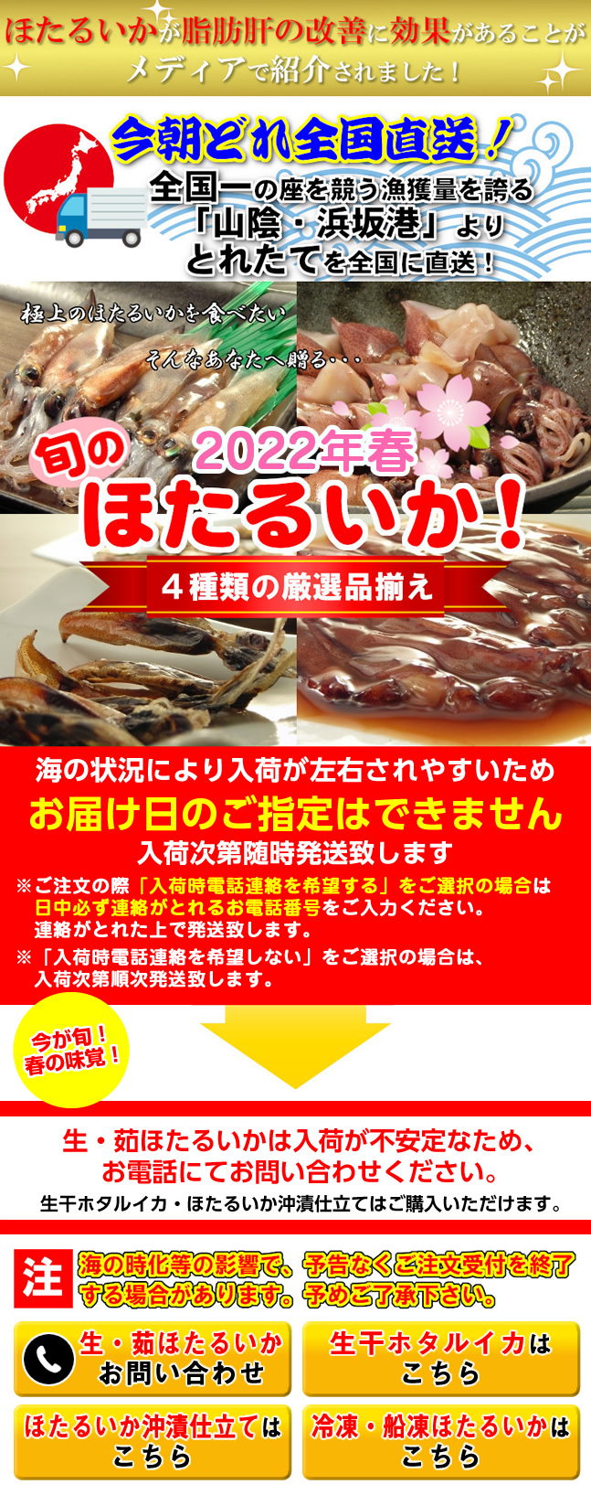 旬のほたるいか三昧!