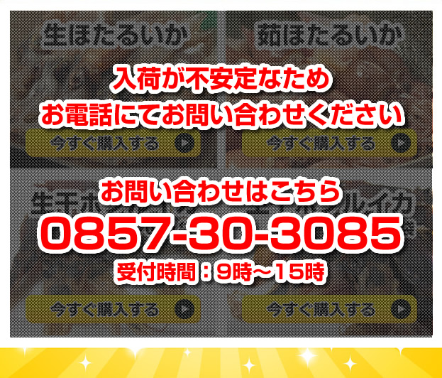 ほたるいかの水揚量は山陰・浜坂港が日本一！