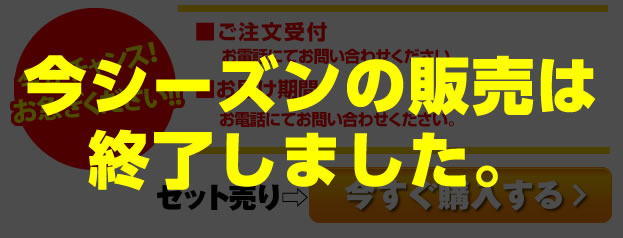 夏輝キャンペーン