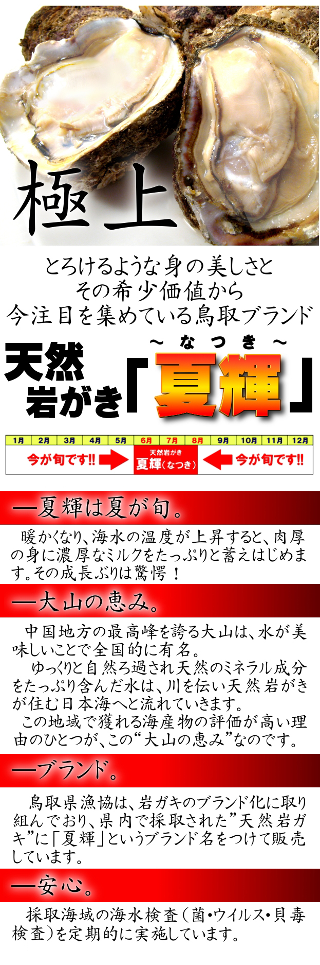 天然岩がき夏輝（なつき）今が旬！肉厚の身に濃厚なミルクをたっぷりと蓄えています!!