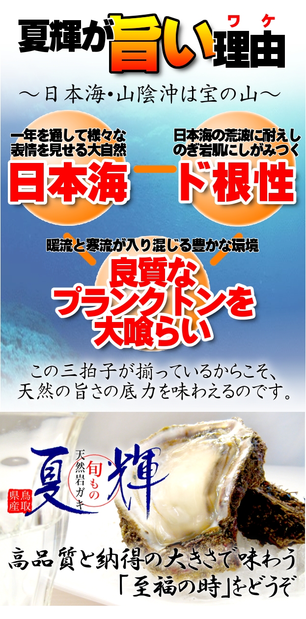 高品質と納得の大きさで味わう至福の時をどうぞ