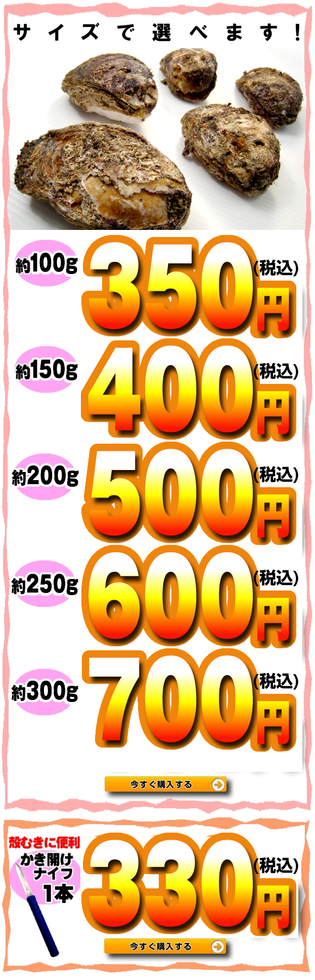 鳥取県産天然岩ガキ 夏輝 大特価キャンペーン 山陰 但馬の鮮魚通販 鮮魚屋 マルワフーズ渡辺水産 鳥取県 鳥取県産天然岩ガキ 夏輝 大特価キャンペーン 山陰 但馬の鮮魚通販 鮮魚屋 マルワフーズ渡辺水産 鳥取県