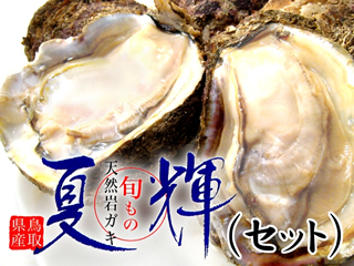 鳥取県産天然岩ガキ 夏輝 大特価キャンペーン 山陰 但馬の鮮魚通販 鮮魚屋 マルワフーズ渡辺水産 鳥取県