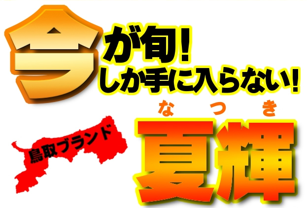 今が旬!なかなか手に入らない夏輝!鮮魚屋からキャンペーン開催