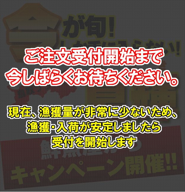 今が旬!なかなか手に入らない夏輝!鮮魚屋からキャンペーン開催