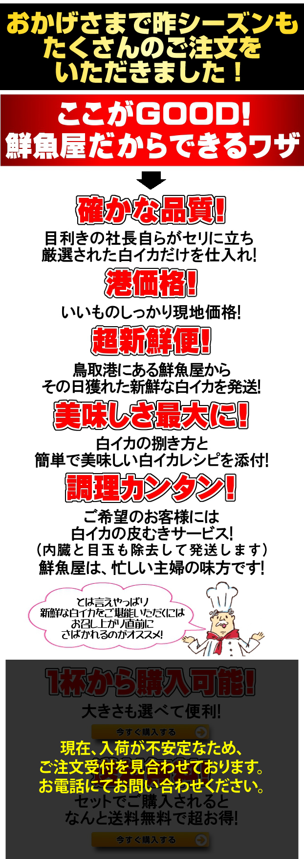 鳥取県産極上白いか ケンサキイカ 季節限定 キャンペーン 通販 お取り寄せ 鮮魚屋 マルワフーズ渡辺水産