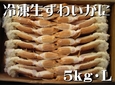
              冷凍生ずわいがに　〔5kg・L　(22～25肩)〕　冷凍便
              