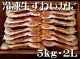 
              冷凍生ずわいがに　〔5kg・2L　(19～21肩)〕　冷凍便
              