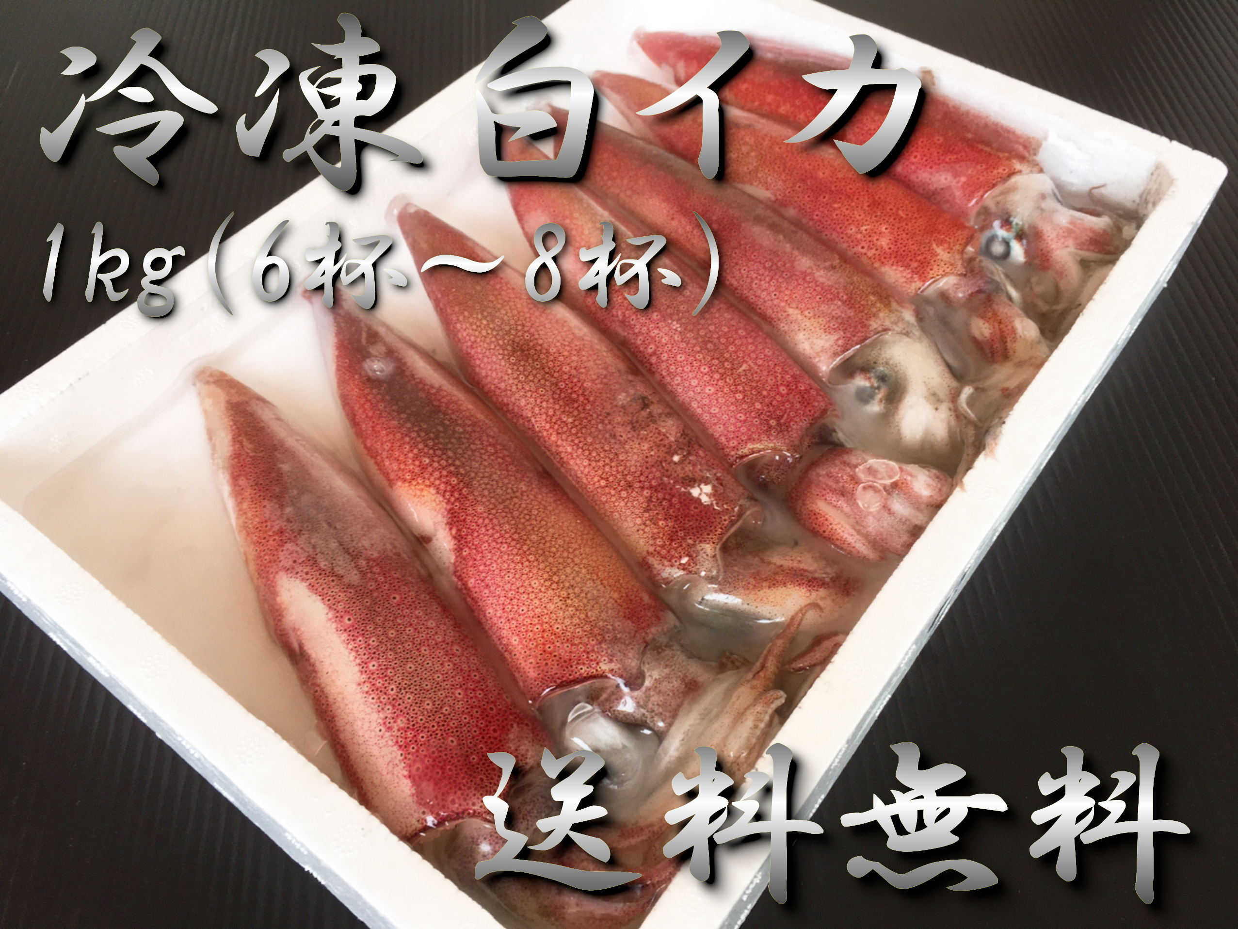 マルワフーズ渡辺水産　冷凍白イカ（ケンサキイカ）1kg（6～8杯入）【鳥取県・兵庫県産】送料無料・冷凍便｜通販・お取り寄せ　鮮魚屋