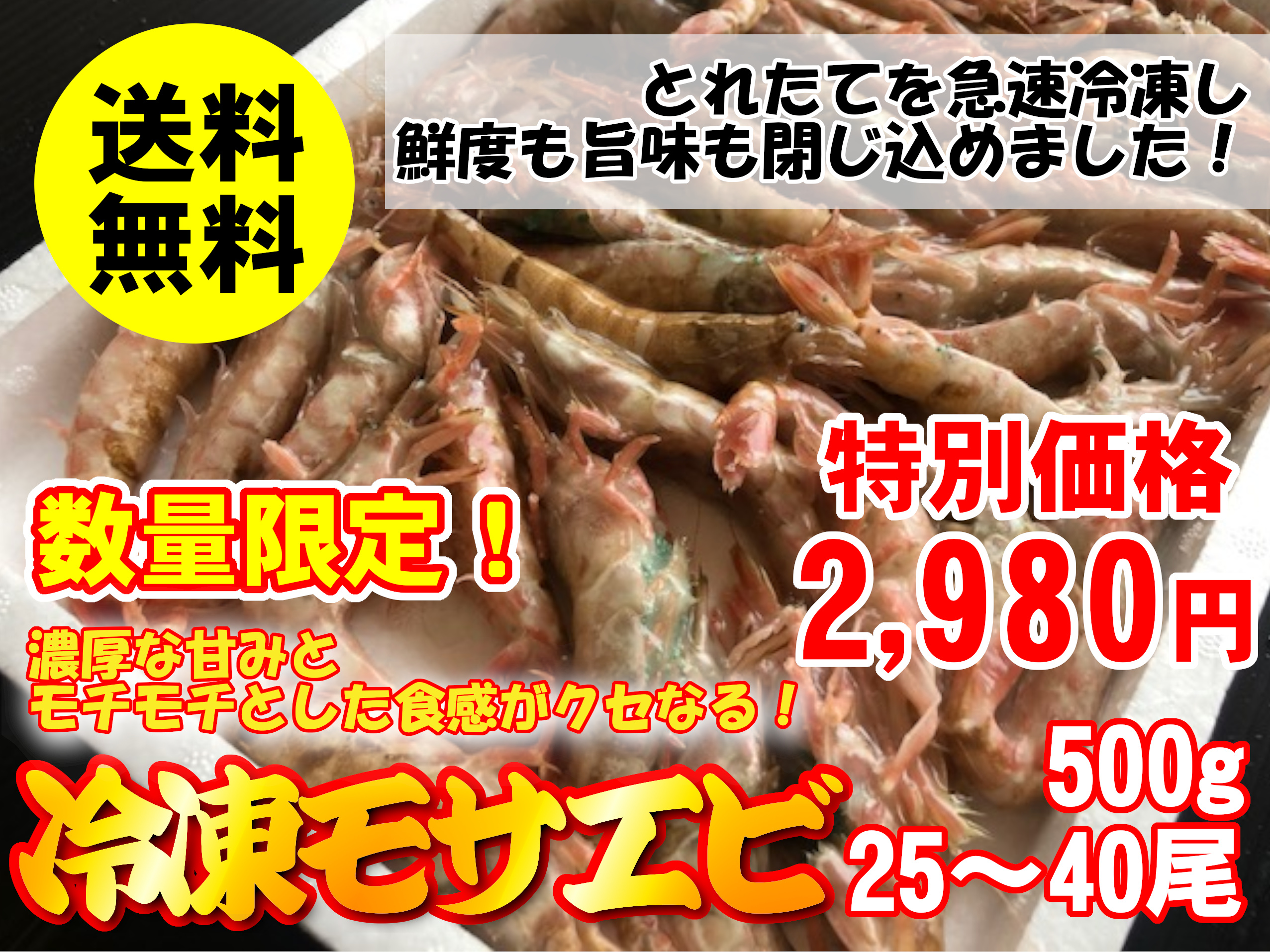 数量限定 冷凍モサエビ 鳥取県 兵庫県産 500ｇ 25 40尾 冷凍便 送料無料 通販 お取り寄せ 鮮魚屋 マルワフーズ渡辺水産