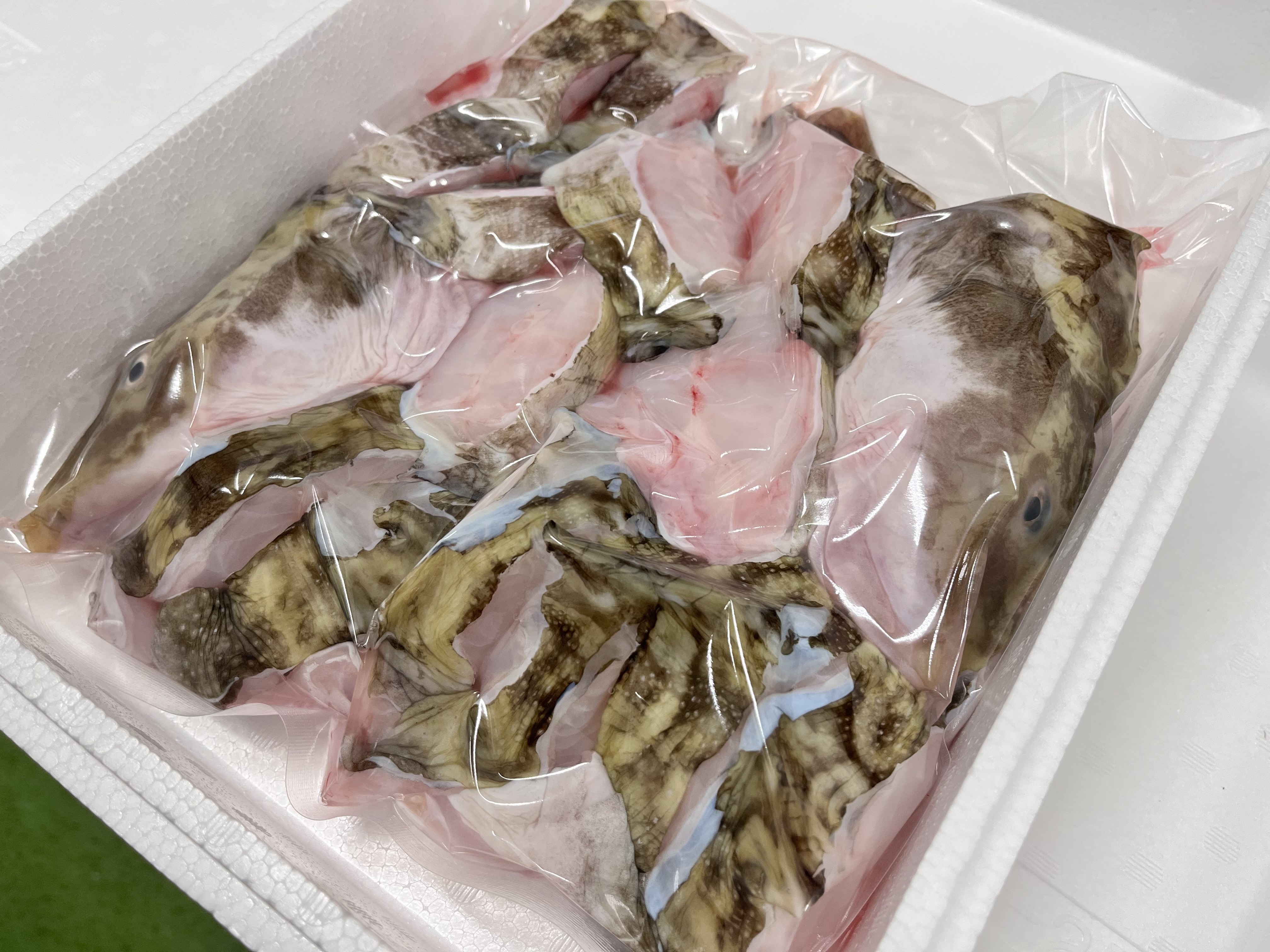 冷凍ばばちゃん タナカゲンゲ キツネダラ 中サイズ 1尾 さばいてお届け 送料無料 冷凍便 通販 お取り寄せ 鮮魚屋 マルワフーズ渡辺水産 冷凍ばばちゃん タナカゲンゲ キツネダラ 中サイズ 1尾 さばいてお届け 送料無料 冷凍便 通販 お取り寄せ 鮮魚屋 マルワフーズ渡辺水産