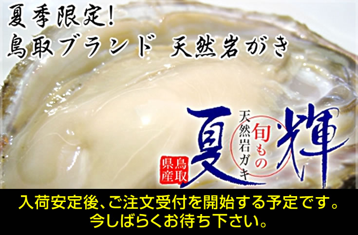 鳥取ブランド天然岩ガキ - 夏輝