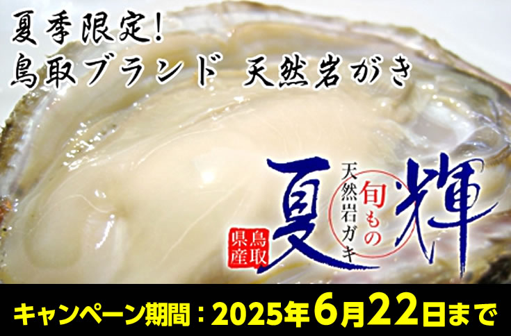鳥取ブランド天然岩ガキ - 夏輝