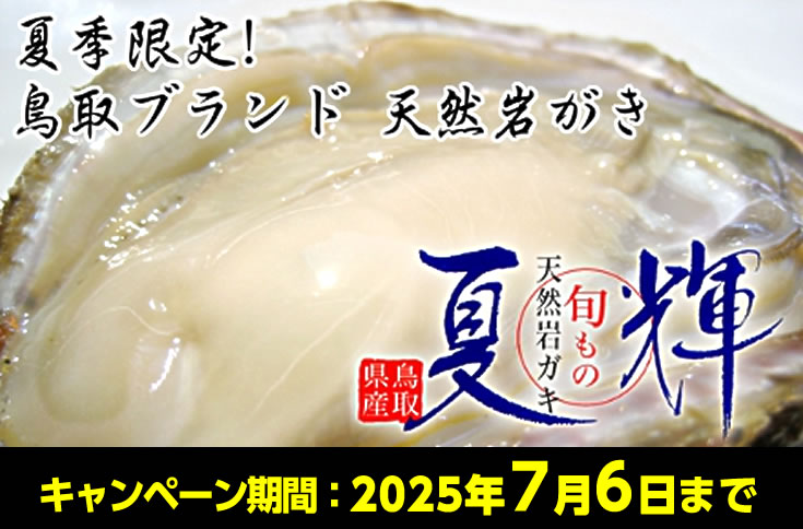 鳥取ブランド天然岩ガキ - 夏輝