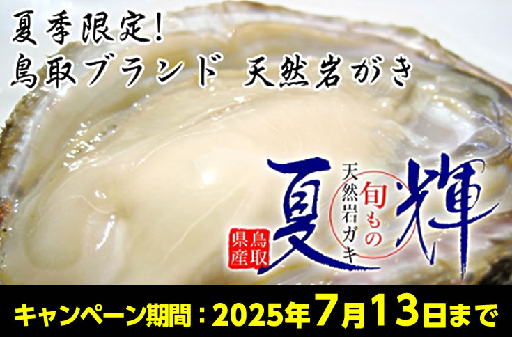 鳥取ブランド天然岩ガキ - 夏輝