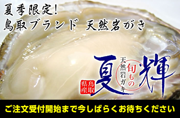 鳥取ブランド天然岩ガキ - 夏輝