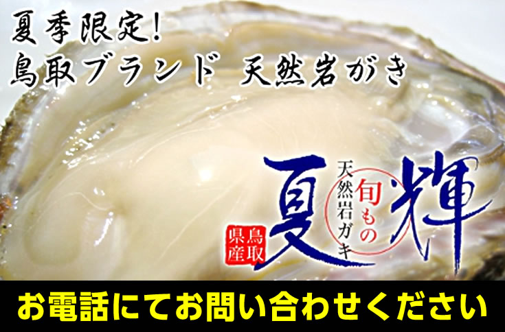 鳥取ブランド天然岩ガキ - 夏輝