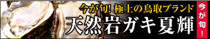 夏輝