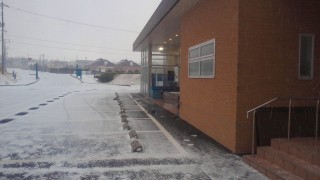 NEC_0048.jpg